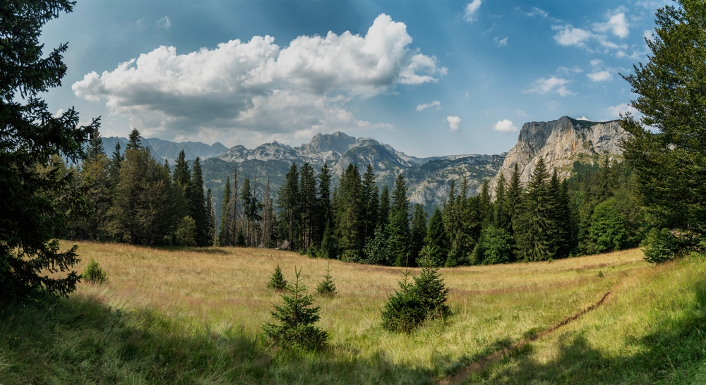 Self-esteem, confidence, personal growth