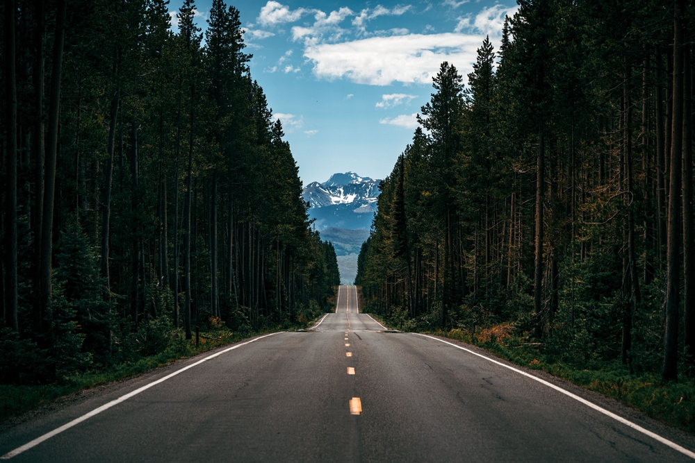 War trauma, including operational stress injuries