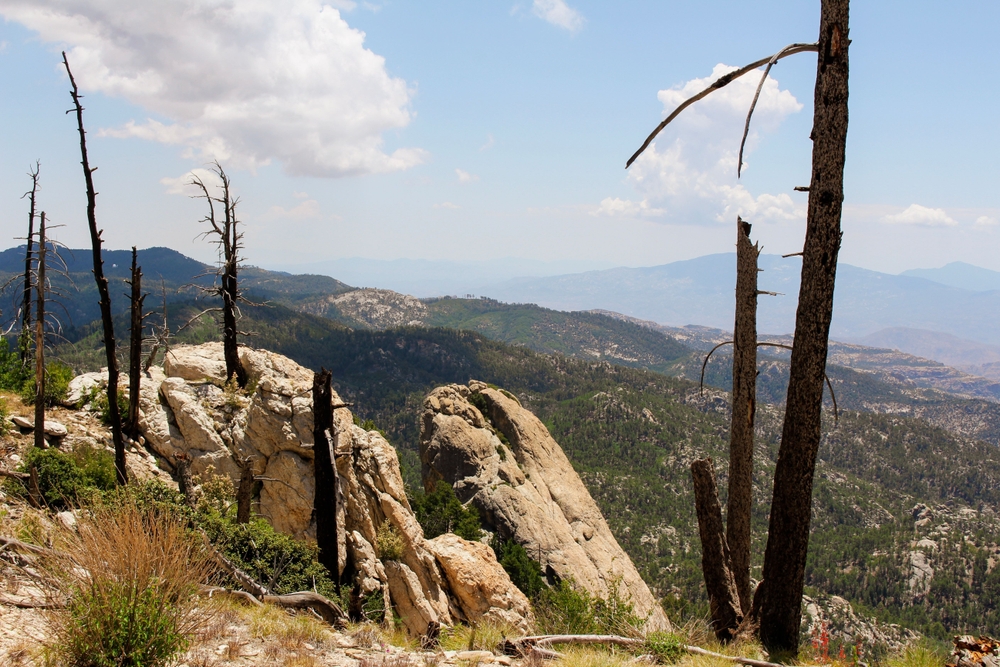 Depression and anxiety