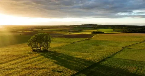 Women’s issues including infertility, menopause, PMS, postpartum depression/anxiety