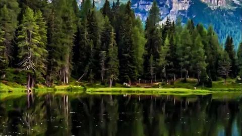 Sexual and relationship problems